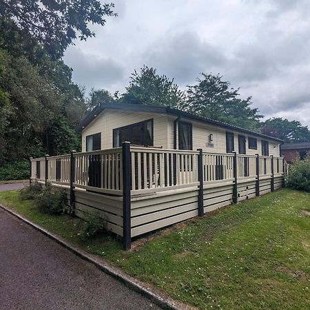 Luxury Stunning Sensation Lodge On 5 Star Shorefield Country Park New Forest Entertainment And Leisure Passes Included Milford-on-Sea Exteriér fotografie